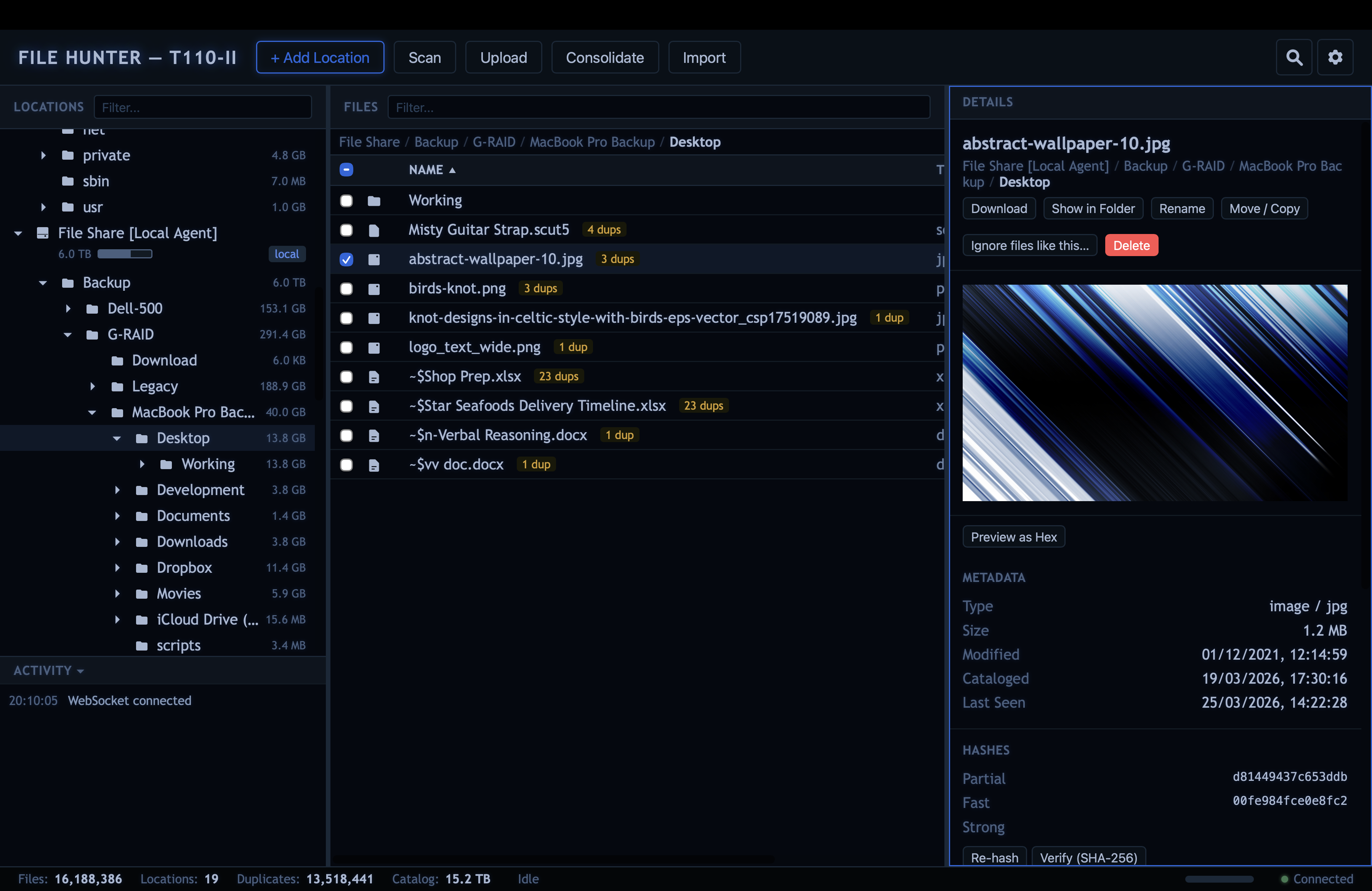 File Hunter · file preview, metadata, and hashes